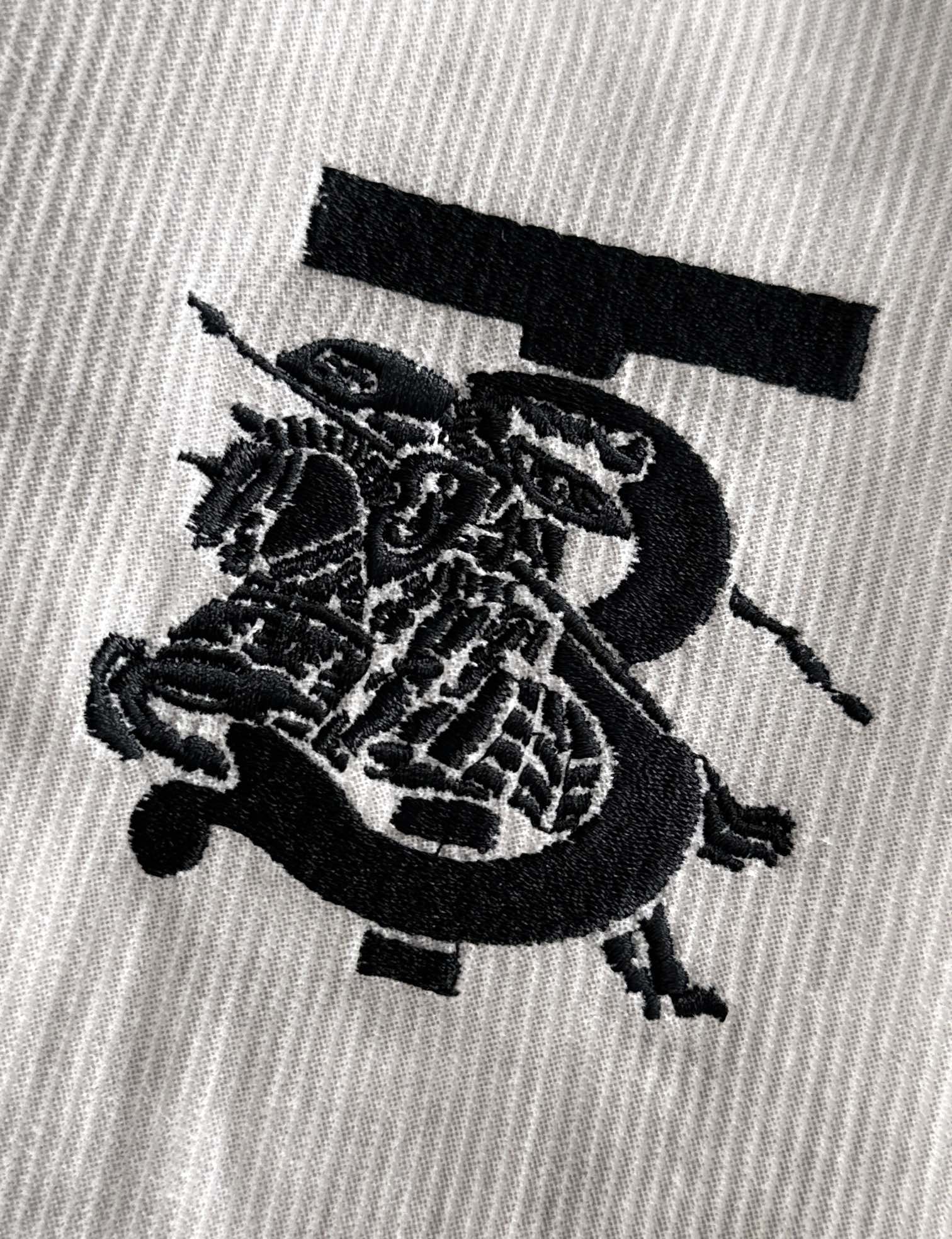 d16406b0d60a07197e3069cb4bf9962f_1742278962_2777.jpg